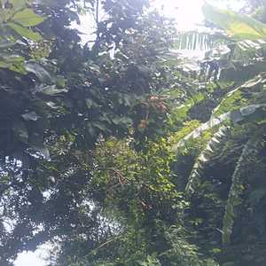 小小 头像