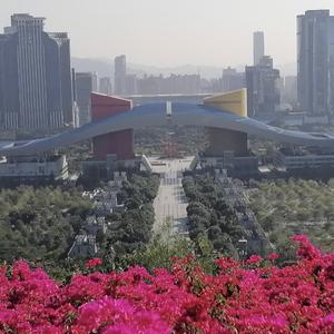 老王说事 头像