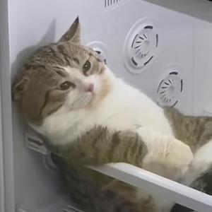 铁铁漫剧头像