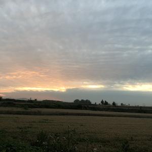 付哥谈社会 头像