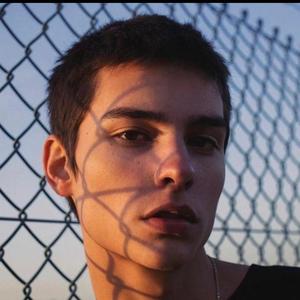 缤纷奶酪SN 头像