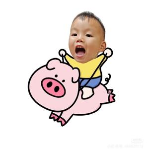 小牛总成长记 头像