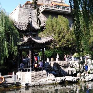黄河滩上老居民