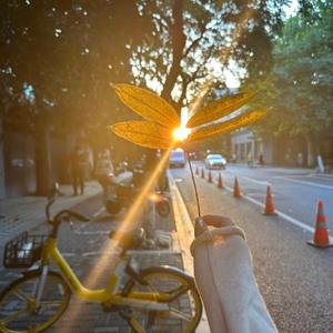 柯柯说娱乐 头像