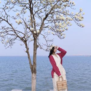 薇薇的小旅橙 头像