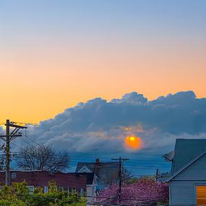认真草莓6C4 头像