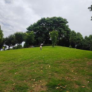 菡菡麻麻日常 头像