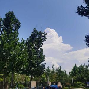 乐视剧中人 头像