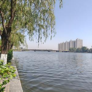 爱尚临沂 头像