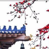 骑马寺的少年