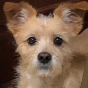 庞庞聊社会 头像