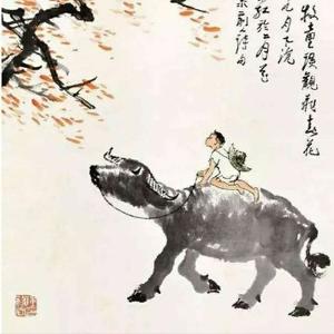 多肉掉色怎么恢复最快 超短放牛的回答 头条问答