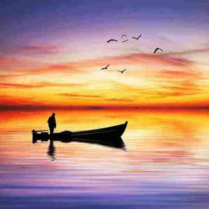 得道知识Albert 头像