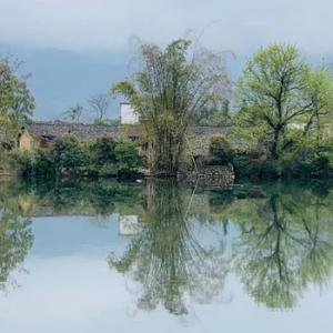 巨人皮亚斯 头像