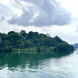 头条小迷弟 头像