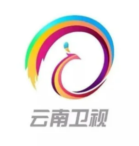 云南卫视 头像