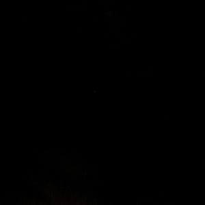 名字什么的好麻烦L 头像