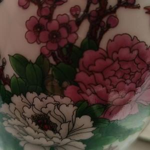 成熟星星Ae 头像