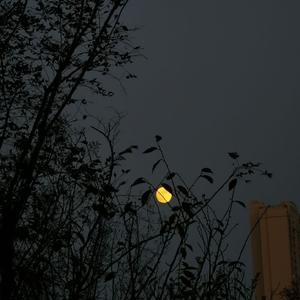 八卦记事本 头像