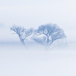 单纯风筝q 头像