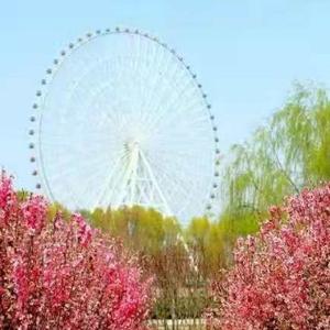 奔跑的小楠楠10 头像