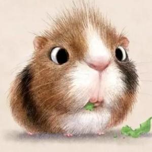 胖子说职场经验 头像