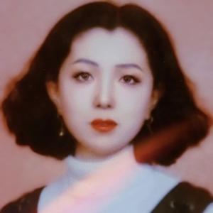 梦蝶儿飞
