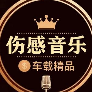 车载伤感音乐库头像