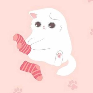 小呀小萝北 头像