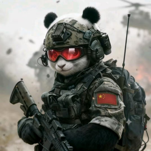 硬核熊司令 头像