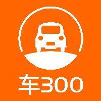车300 头像