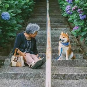 多乐糖果爱生活 头像