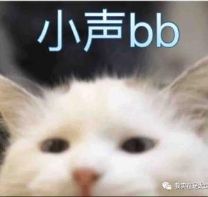 无长缨 头像