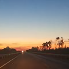 行走天涯之高阳酒徒 头像