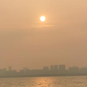 地理蘑菇 头像