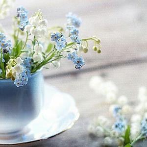 艾米情感录 头像