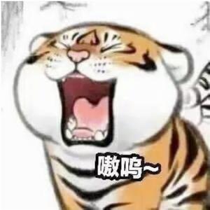 独坐时光里 头像