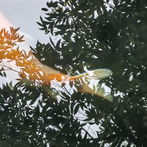 鱼的百宝箱 头像