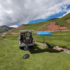 老白要出走 头像