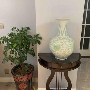 金潭家的二妮 头像