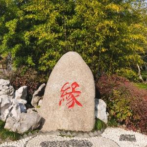 双城生活sam 头像