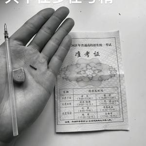 君何不乘风而起 头像