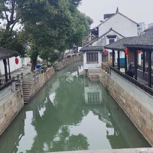 机智的清风 头像