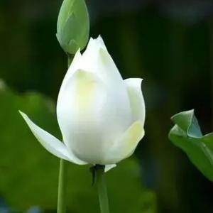 缄默彩虹UhIM