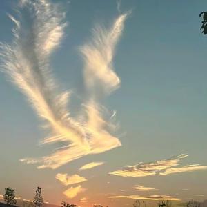 元灵子顺明 头像