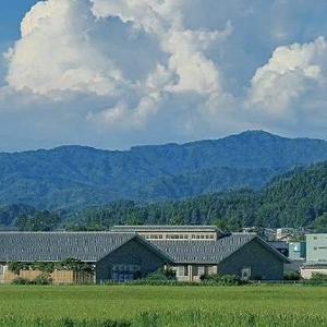 林中沉醉美景 头像