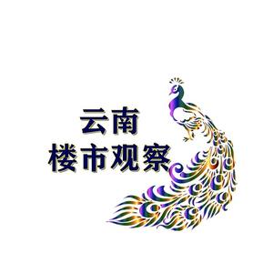 云南楼市观察.左手
