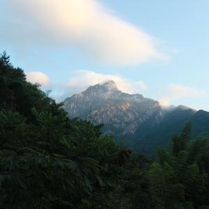 就爱四处瞎溜达 头像