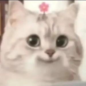 猛汉Mnhar