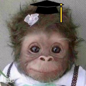 誓行菩提心ptx 头像